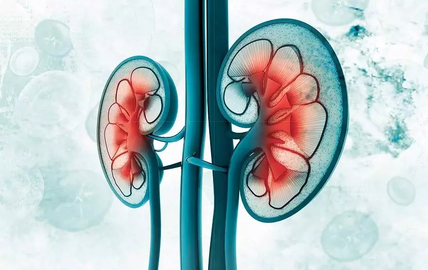 Uro-oncologia - Dr. Mateus Nobile Salemme